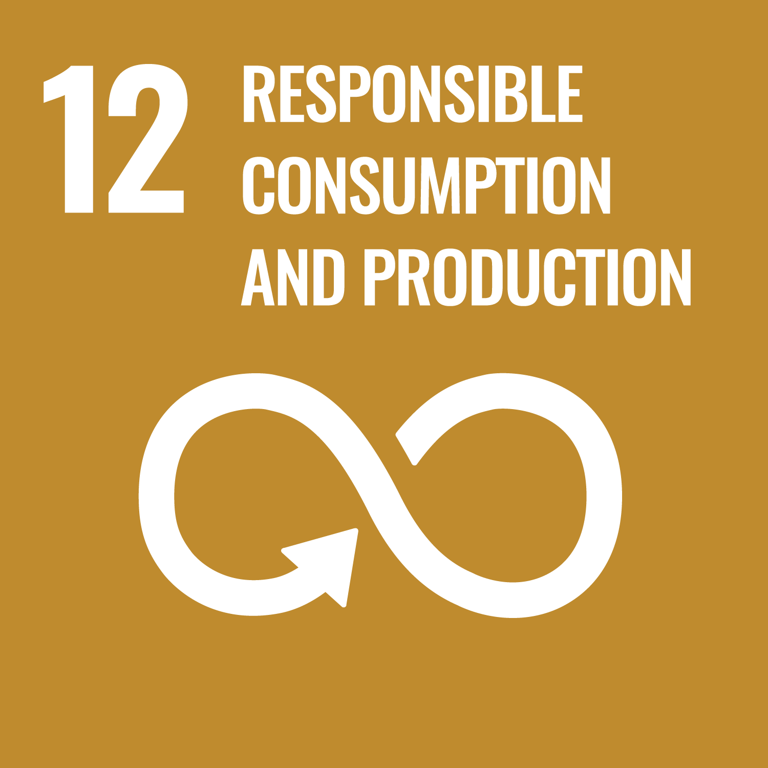 SDG 12 - SDG 12 – Responsible Consumption & Production